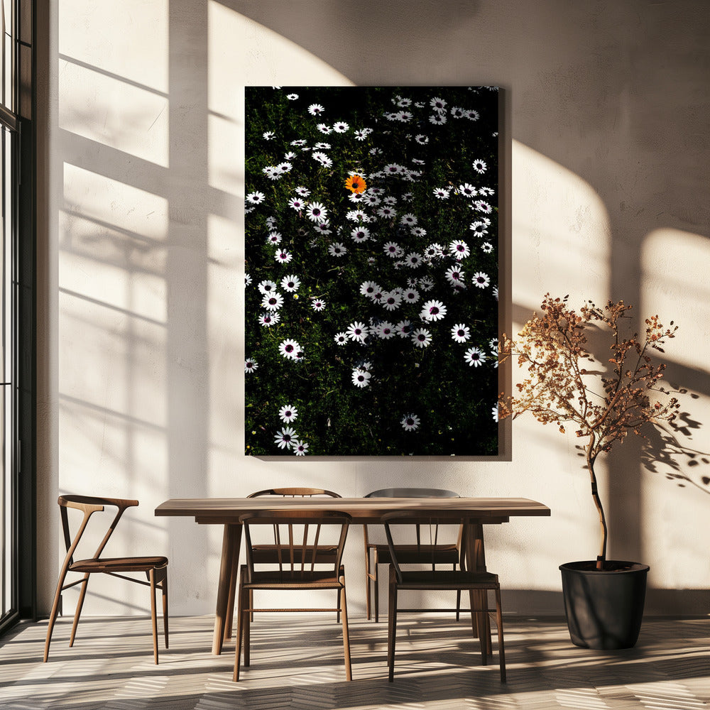 Unieke Bloesem | Canvas