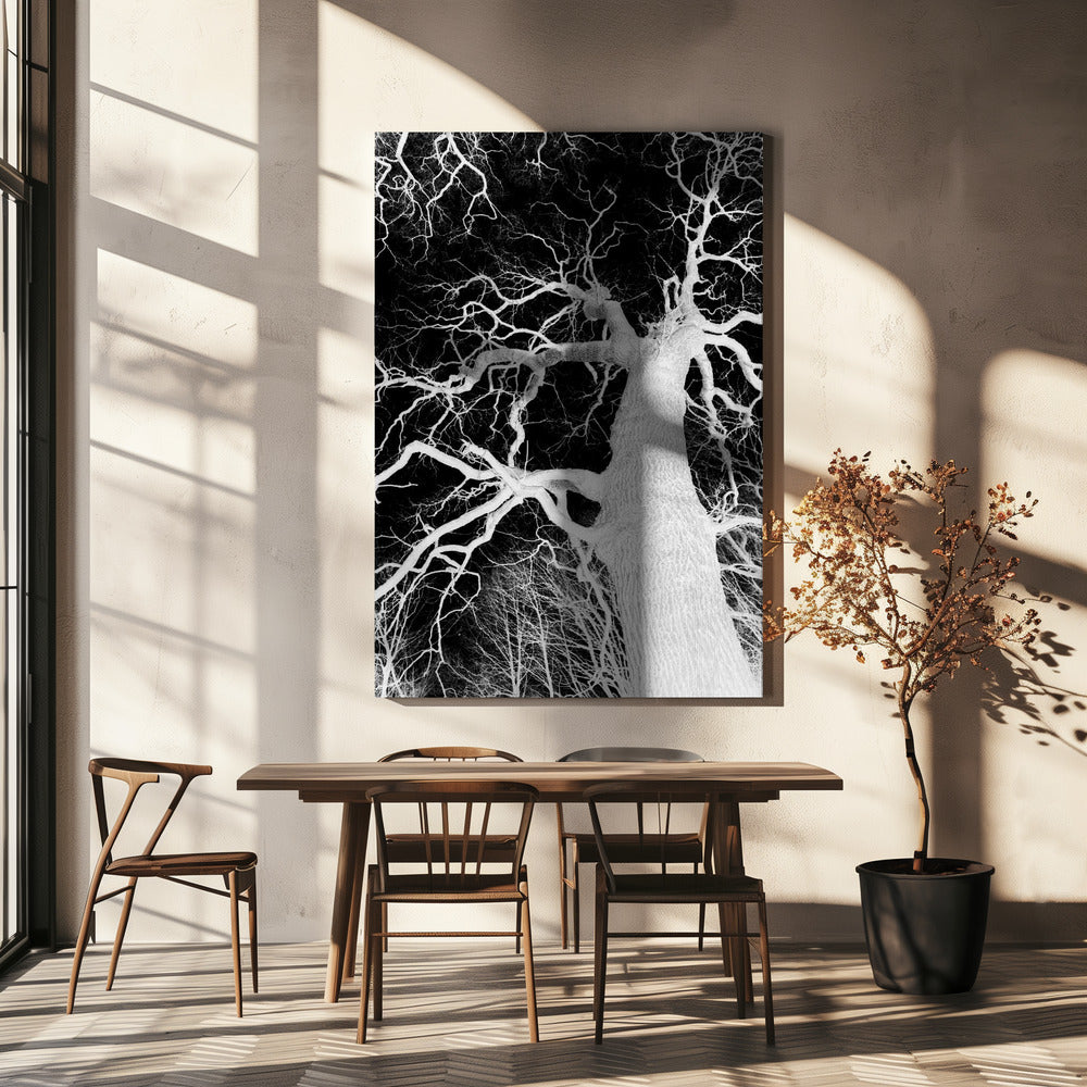 Omgekeerde Arbor Essence | Canvas