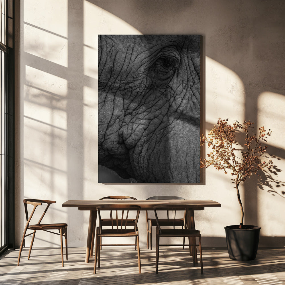 Olifantenwijsheid | Canvas