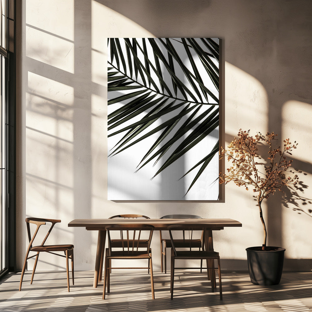 Schaduwen van varens | Canvas