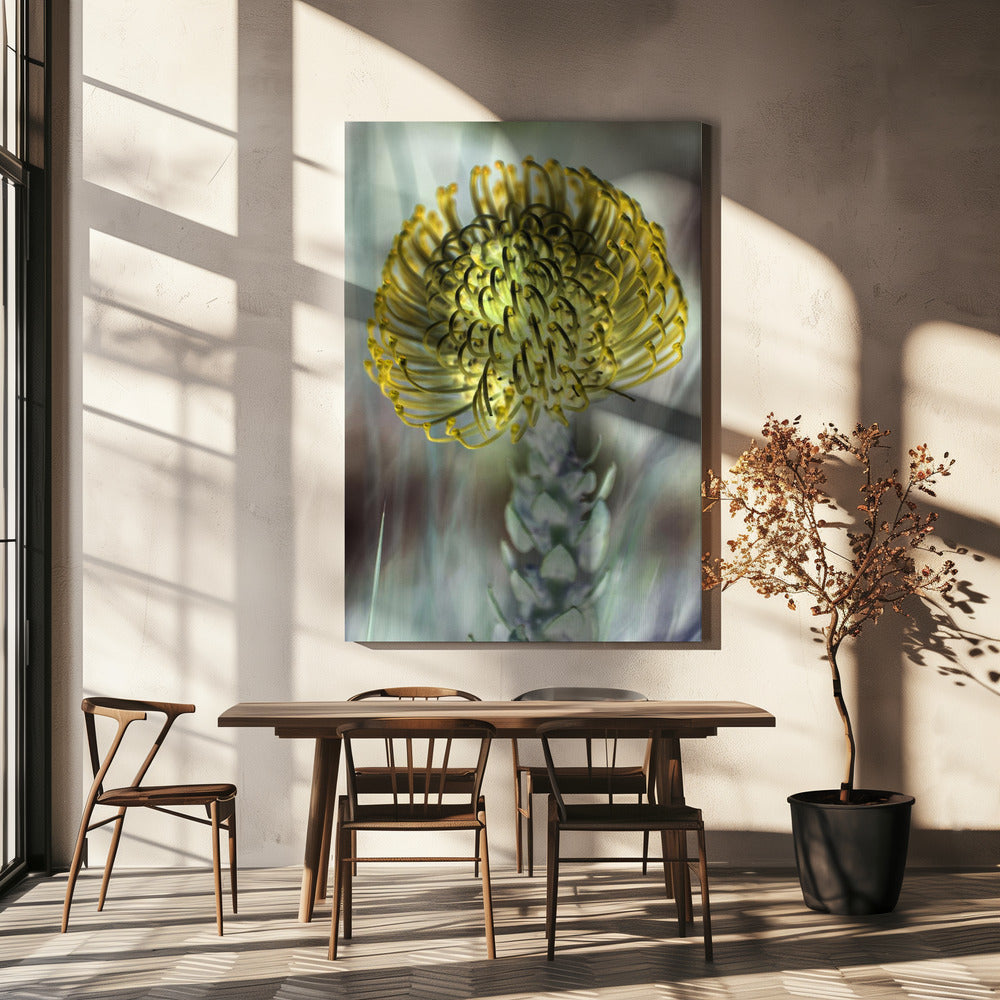 Gouden Bloesem Uitbarsting | Canvas