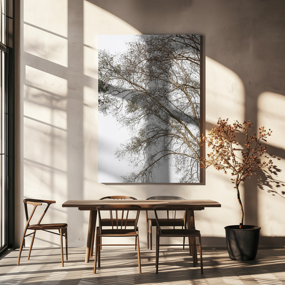 Winterse fluistertakken | Canvas