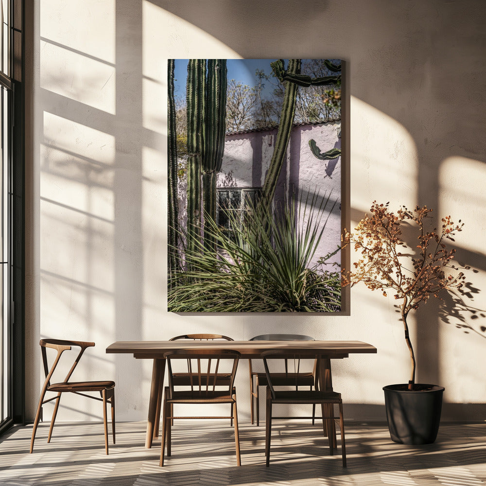 Cactus & Roze Muur | Canvas