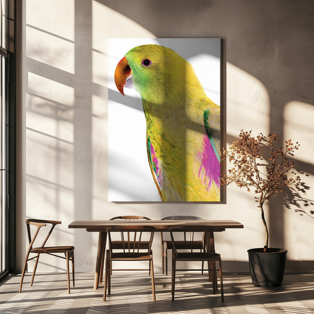 Levendig papegaaienprofiel | Canvas