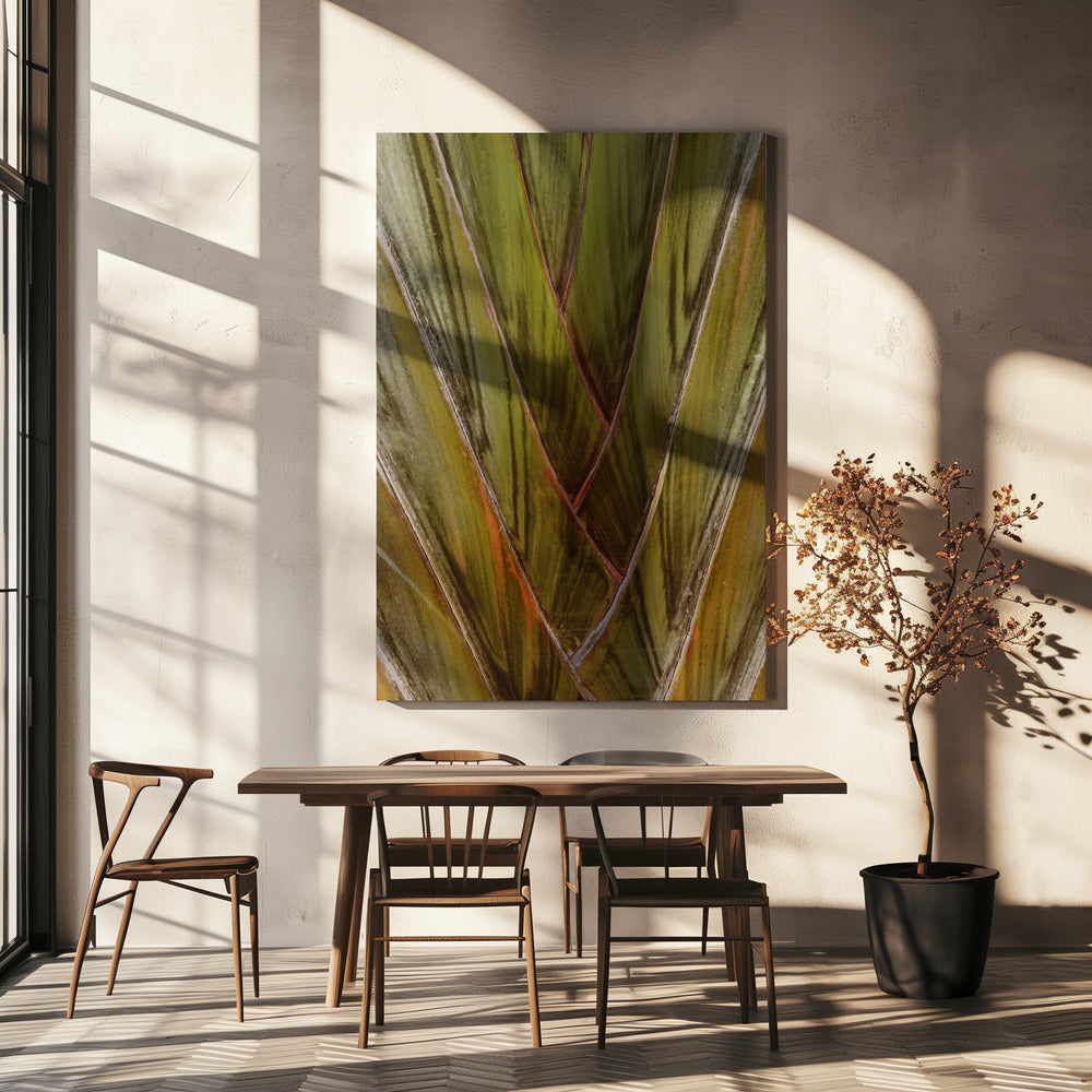 Verdant Vortex | Canvas