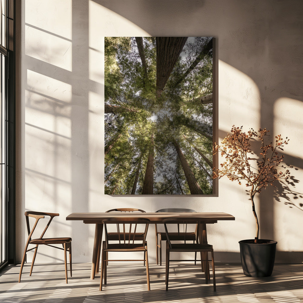 Beauty of Nature | Canvas