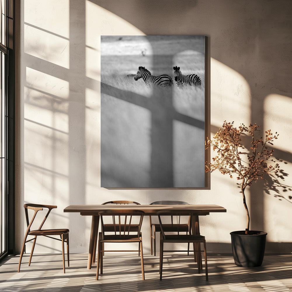 Zebras in the Mist | Canvas