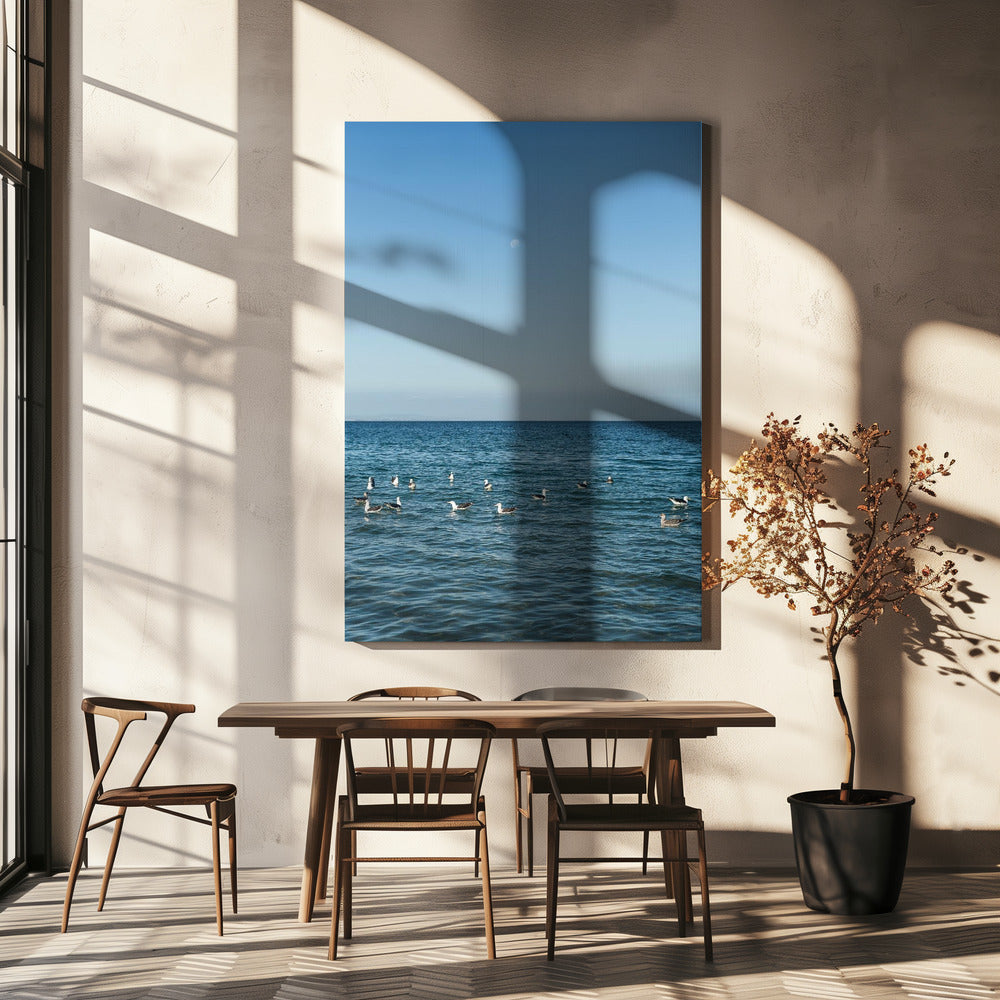 Moonlit Seabirds | Canvas