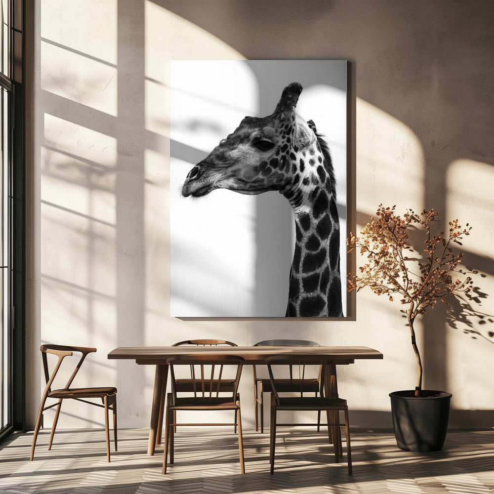 Intricate Patterns Of A Giraffe's Skin | Canvas