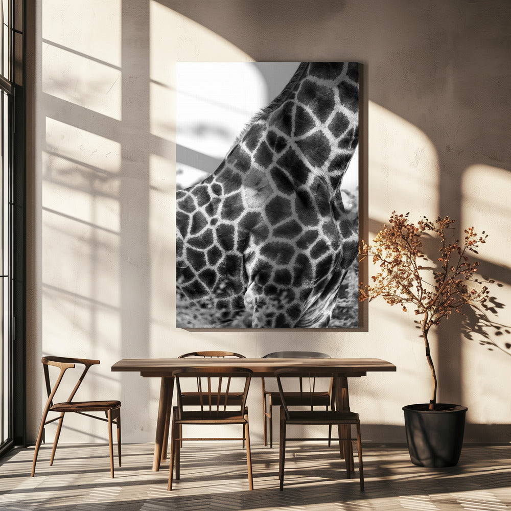 Intricate Patterns Of A Giraffe's Skin | Canvas