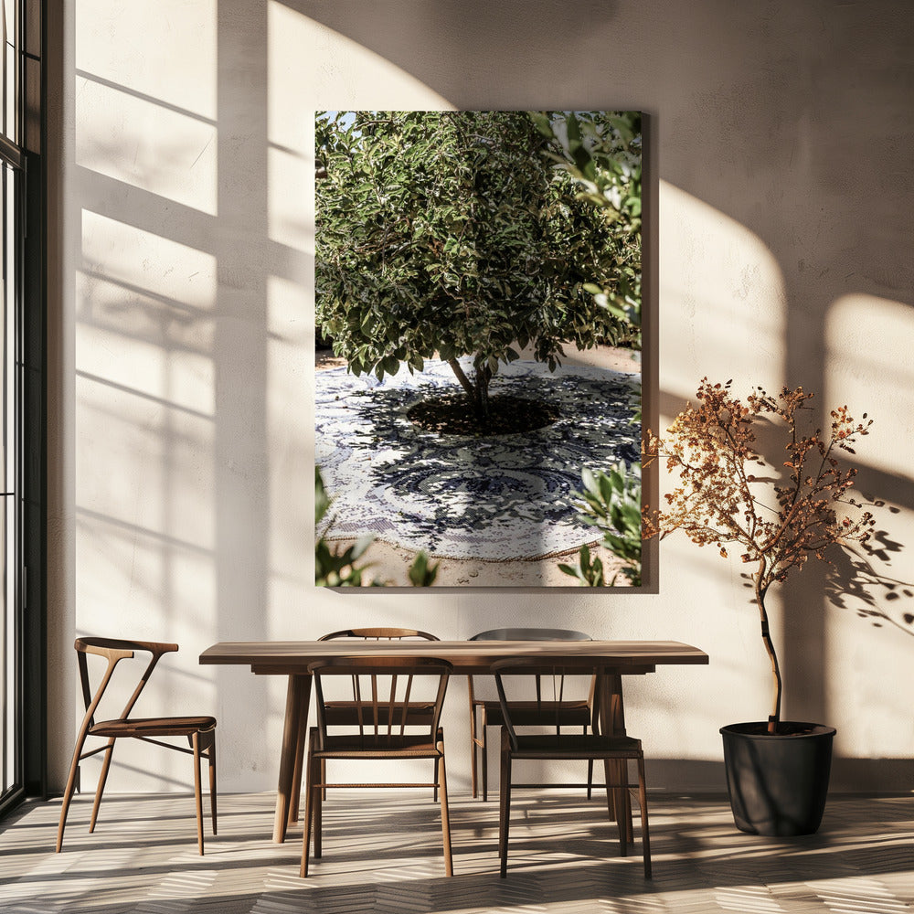 Vibrant Outdoor Installation | Canvas