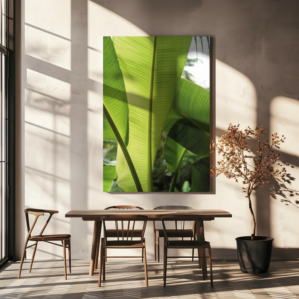 Tropische bananenbladeren | Canvas