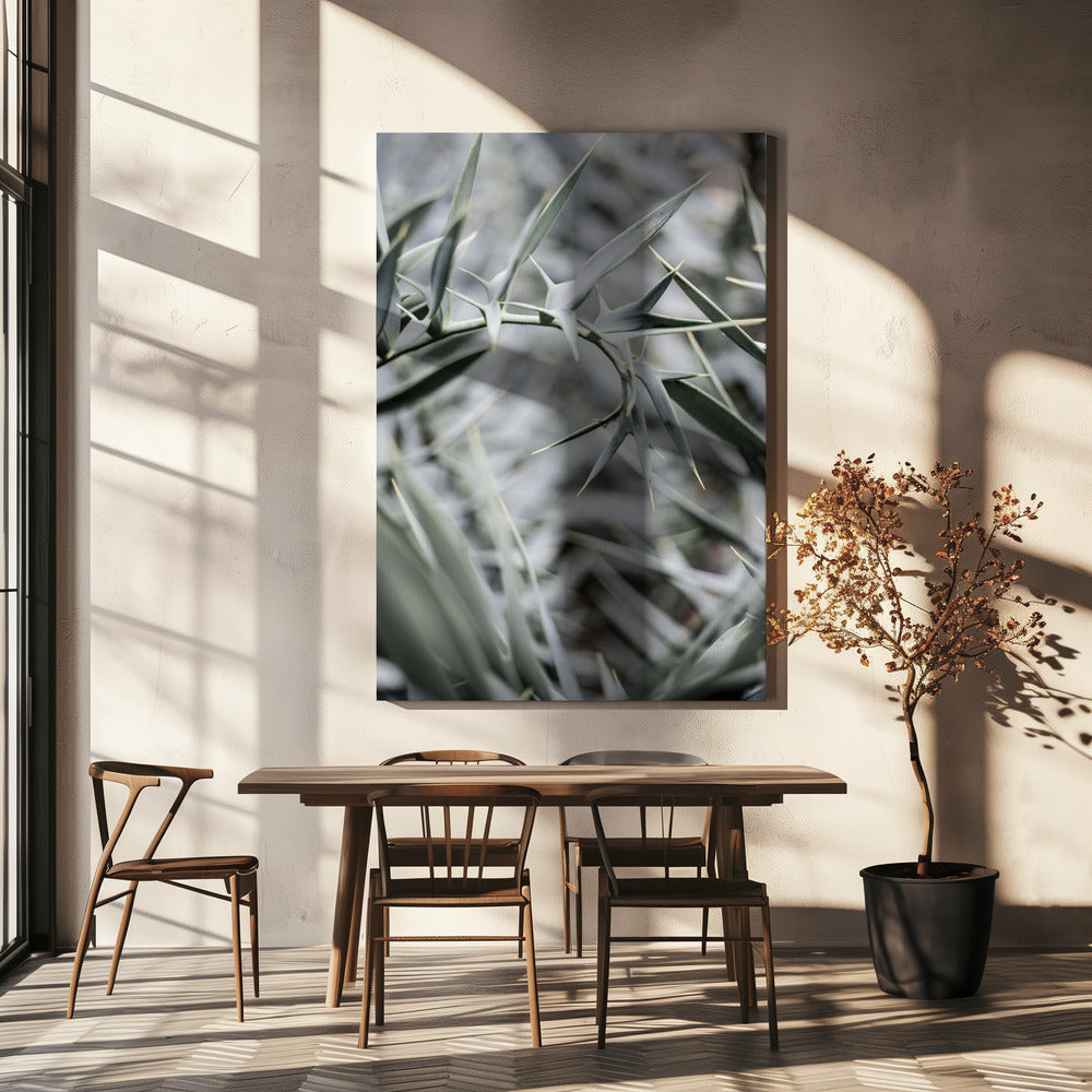 Intricate Details Of Spiky Leaves | Canvas