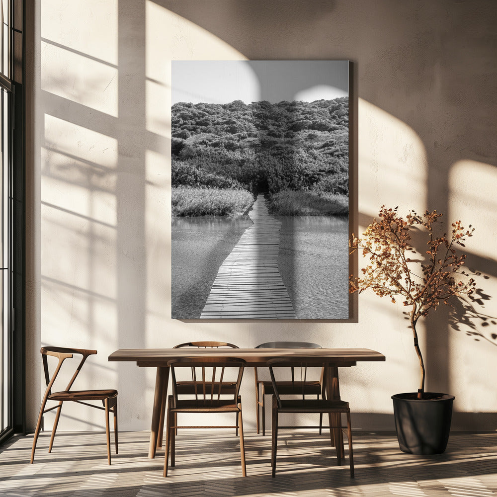 Welkom in de jungle | Canvas