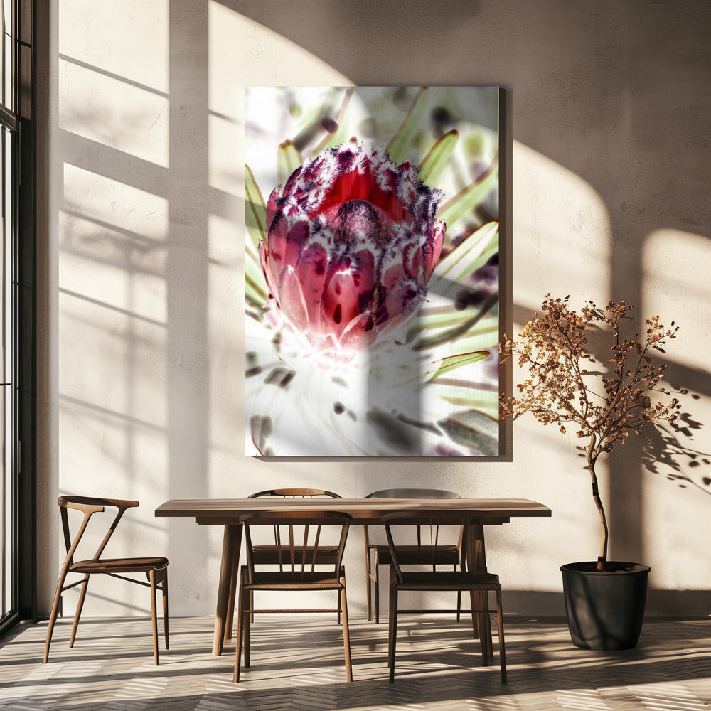 Bloeiende Protea Bloem | Canvas