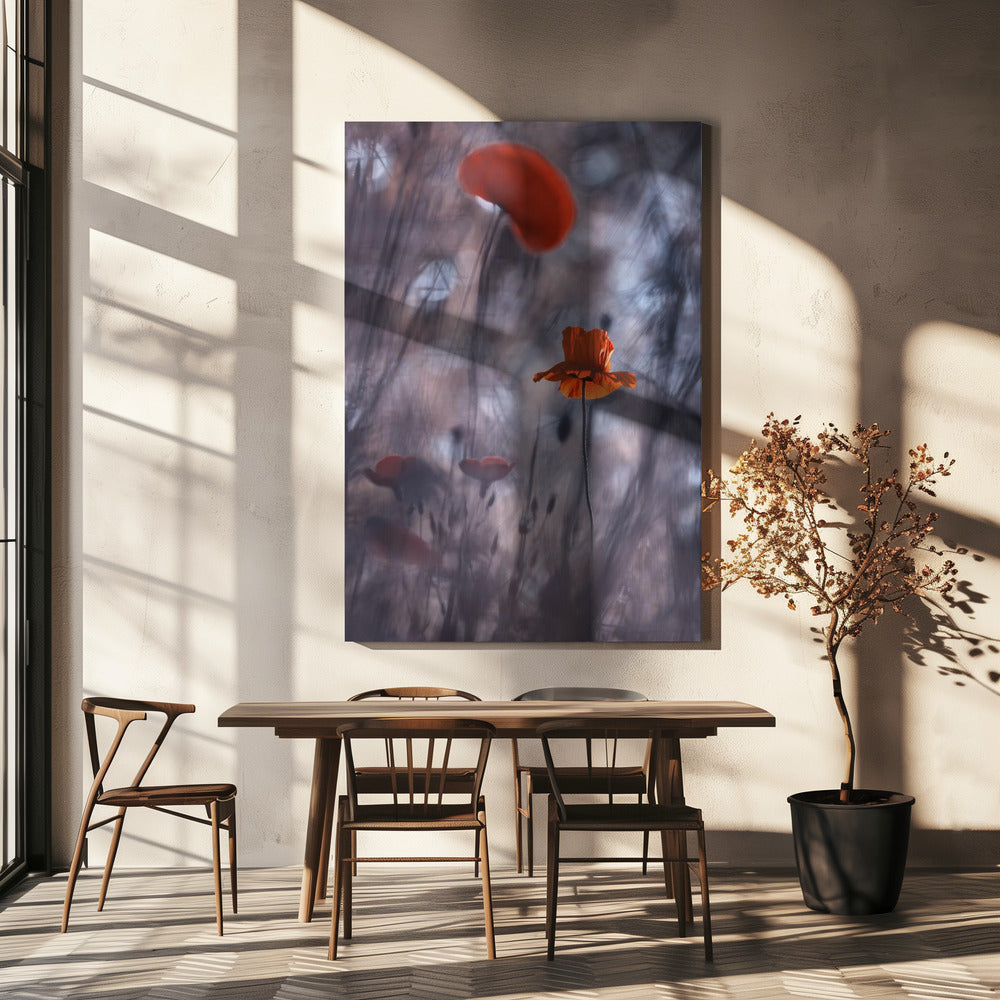 Verlangens en passies | Canvas