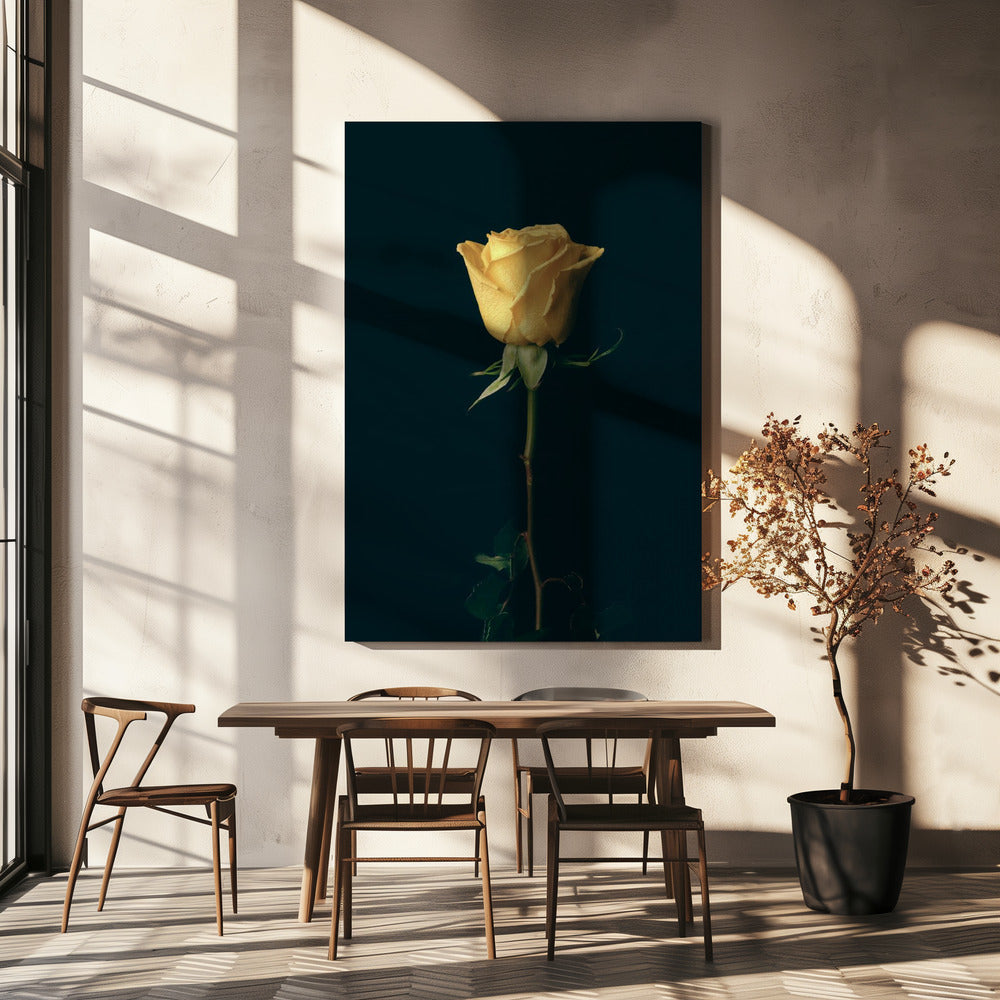 gele roos | Canvas