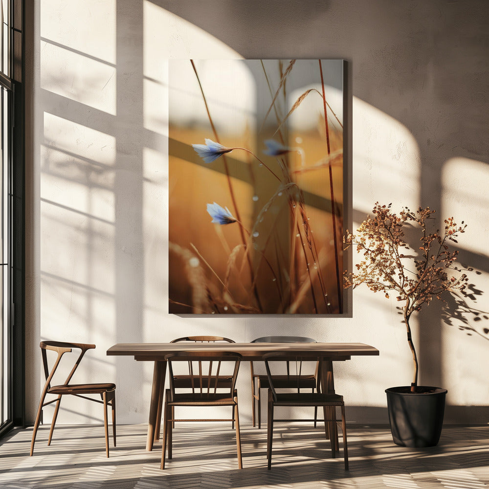Blauwe bloemen bij zonsopgang | Canvas