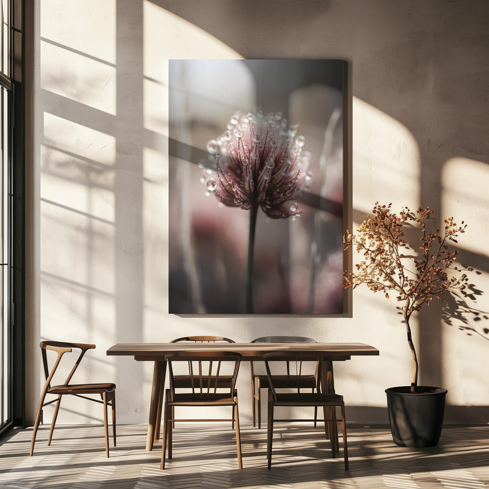 Dauwgekuste bloesem | Canvas
