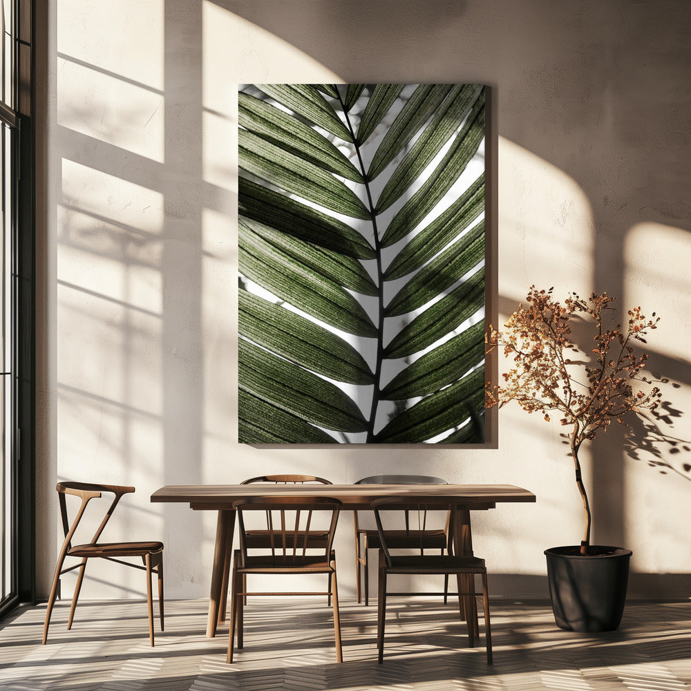 Palmbladeren 24 | Canvas