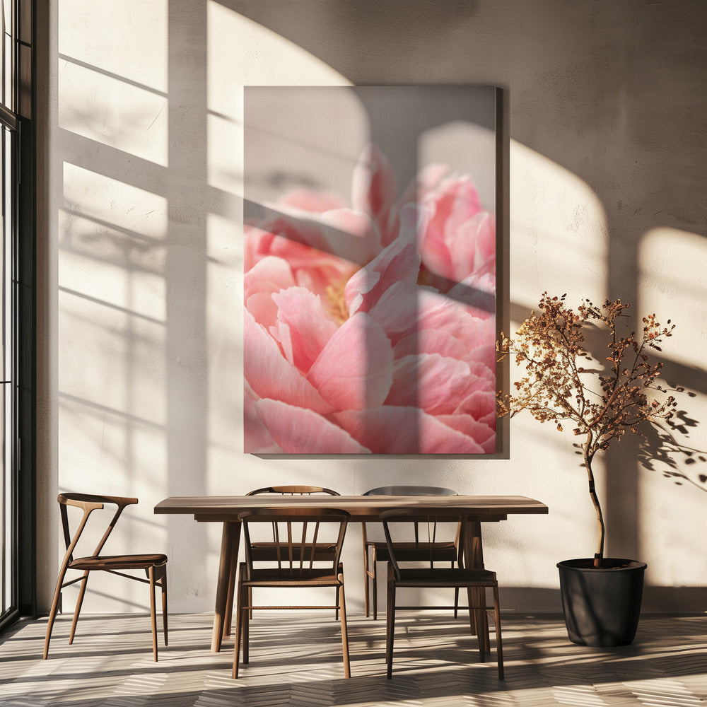 Pioenroos 4 | Canvas
