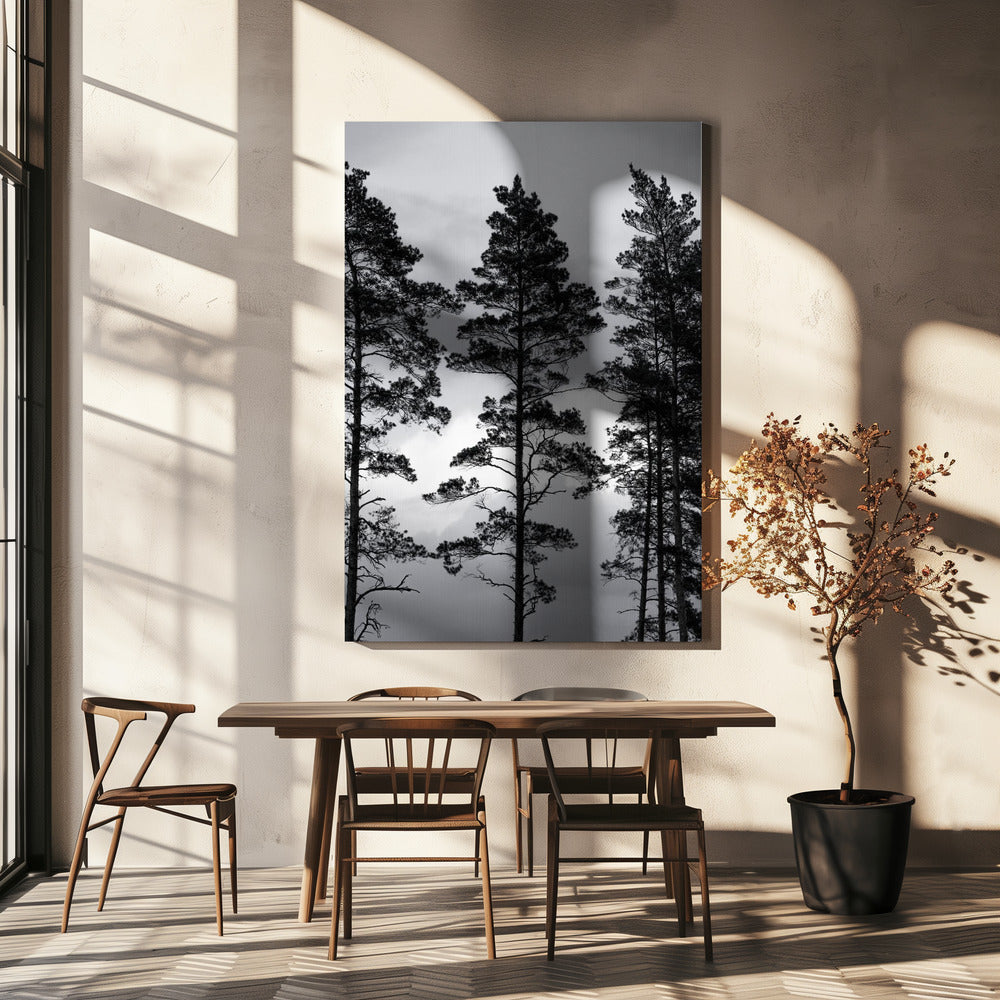 Zweedse bomen | Canvas