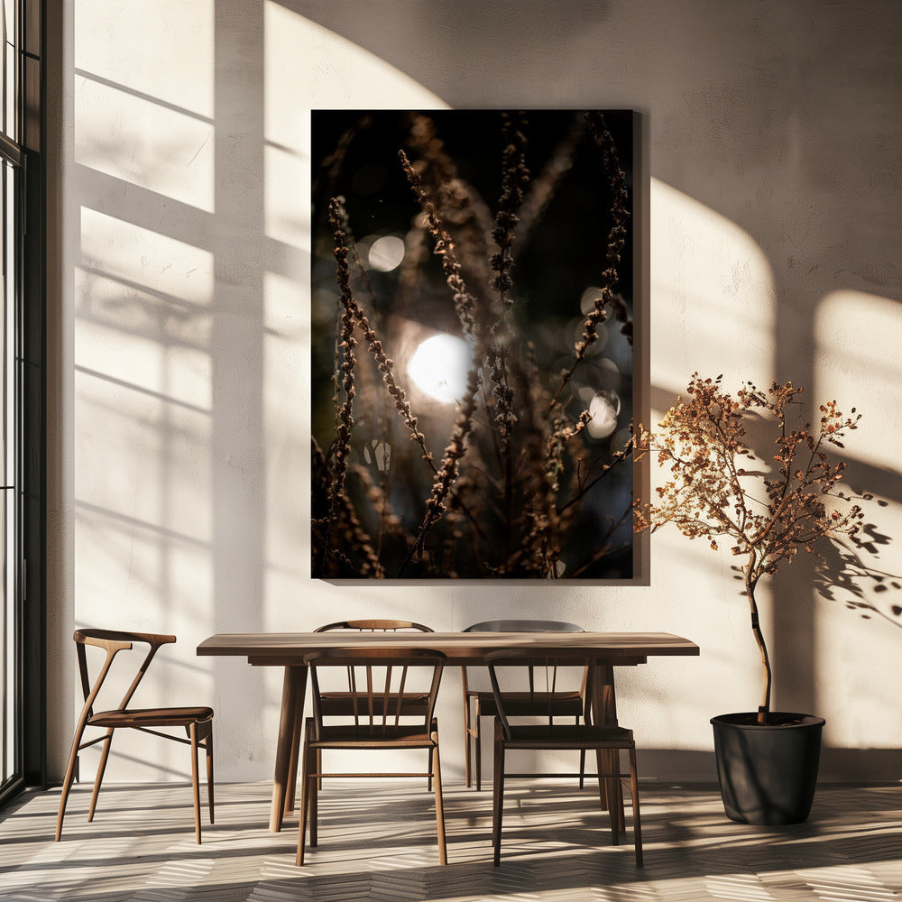 Natuurlijke Sparkle 2 | Canvas