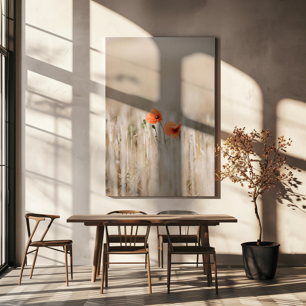Zomerklaprozen | Canvas