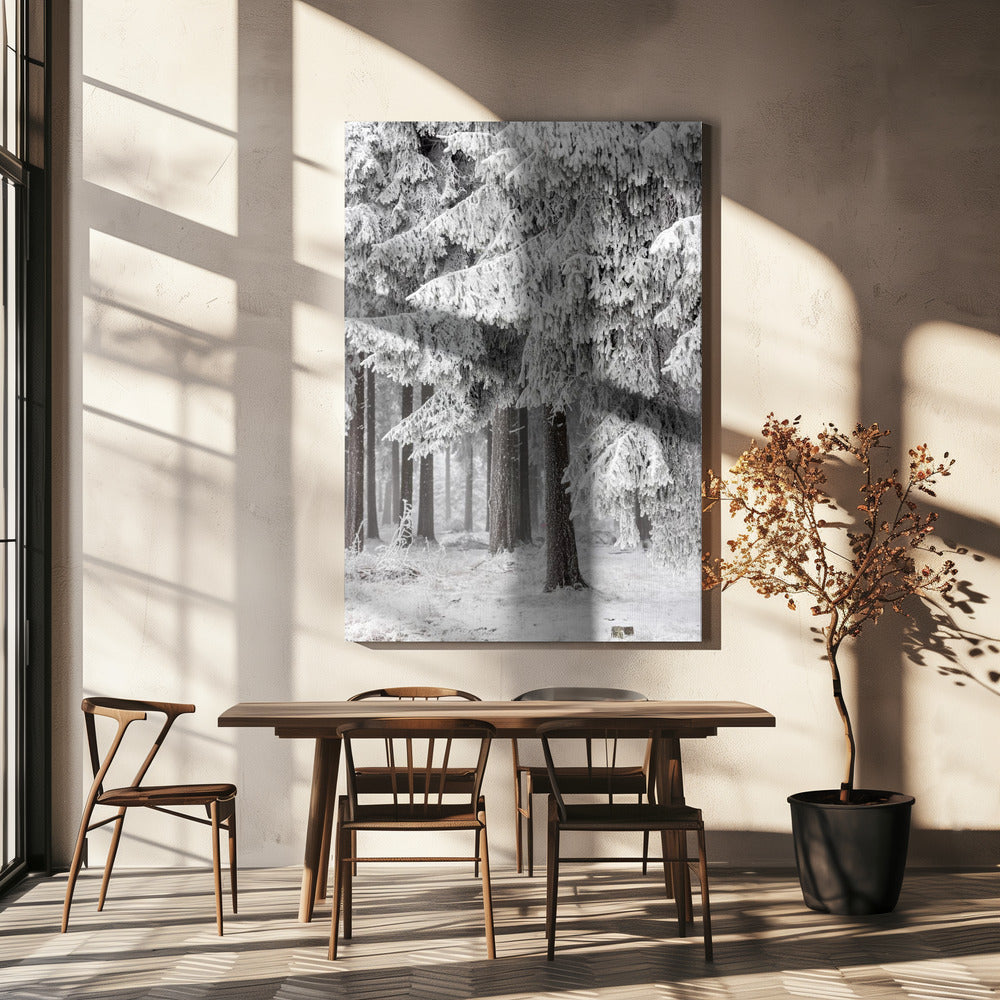 Winterbos 2 | Canvas