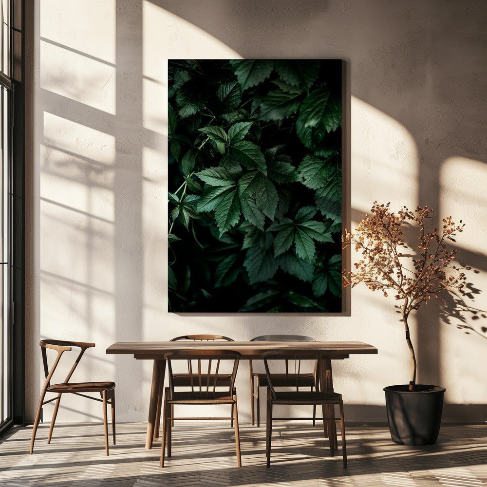 Donkere bladeren 13 | Canvas