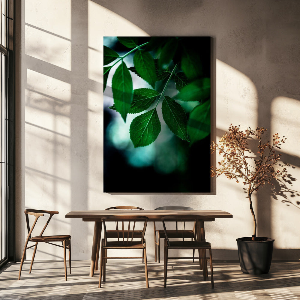 Donkere bladeren 14 | Canvas