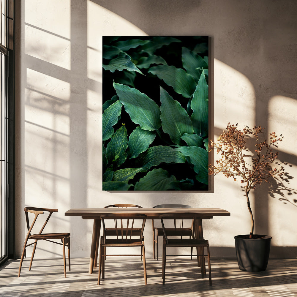 Donkere bladeren 15 | Canvas