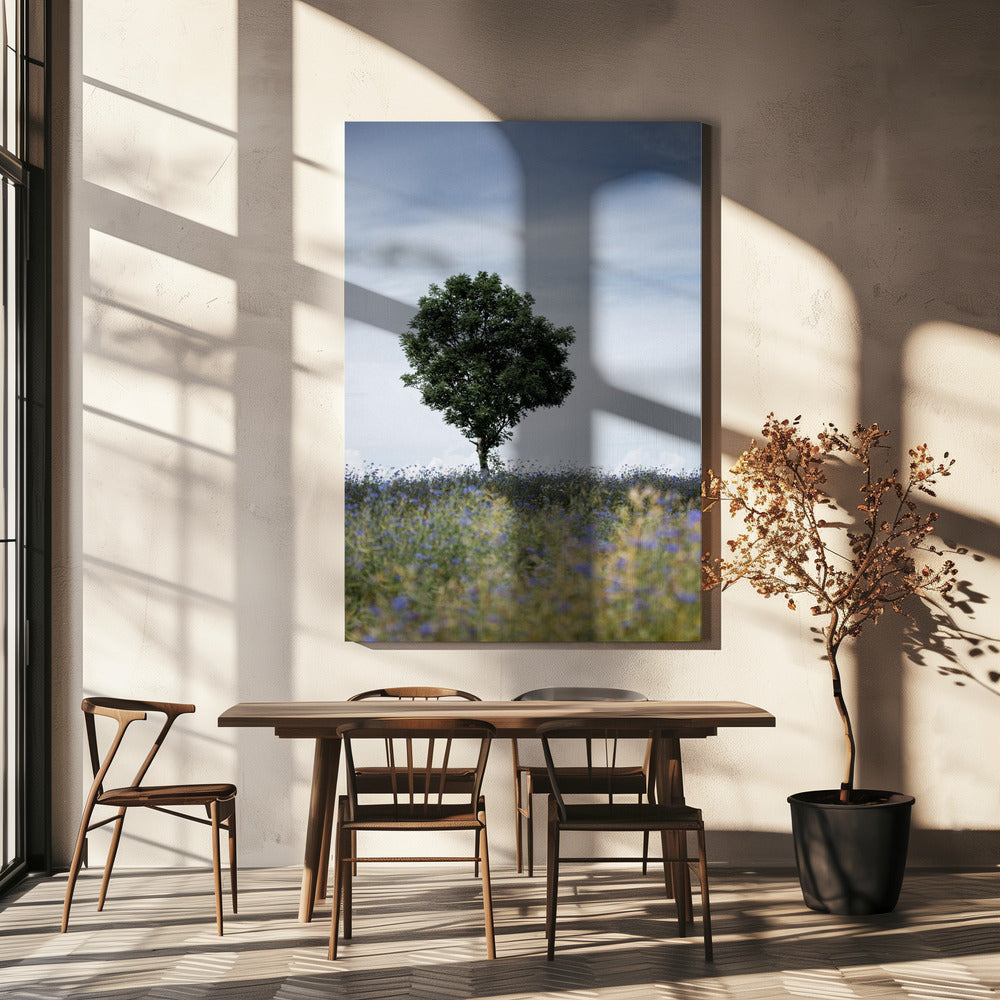 Summer Meadow | Canvas