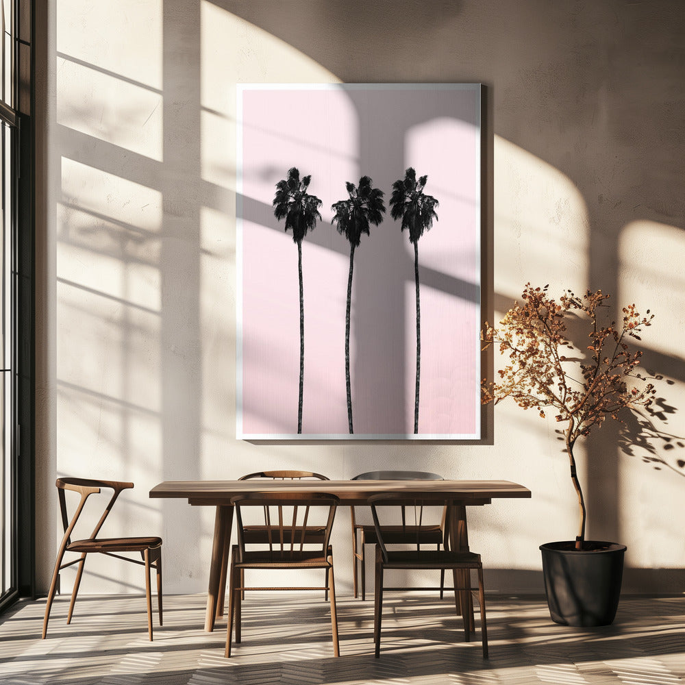 Drie hoge palmen | Canvas