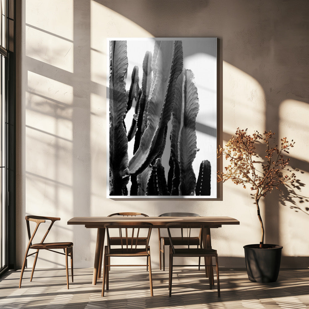 Cactus Elegantie | Canvas