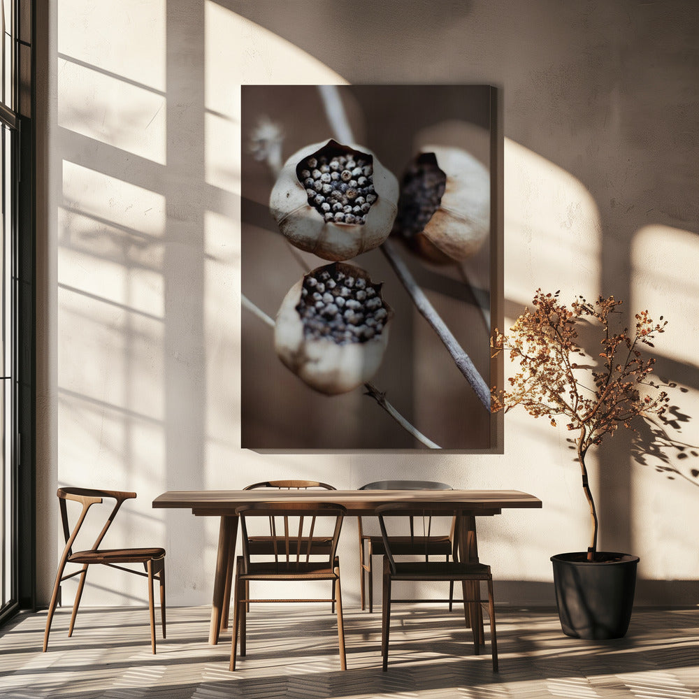 Capsules van de natuur | Canvas
