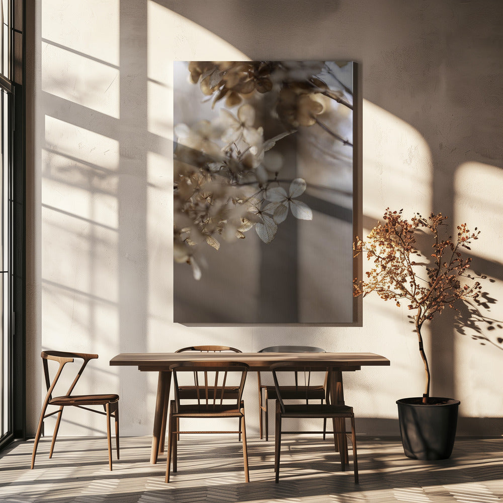 Hydrangea 1 | Canvas
