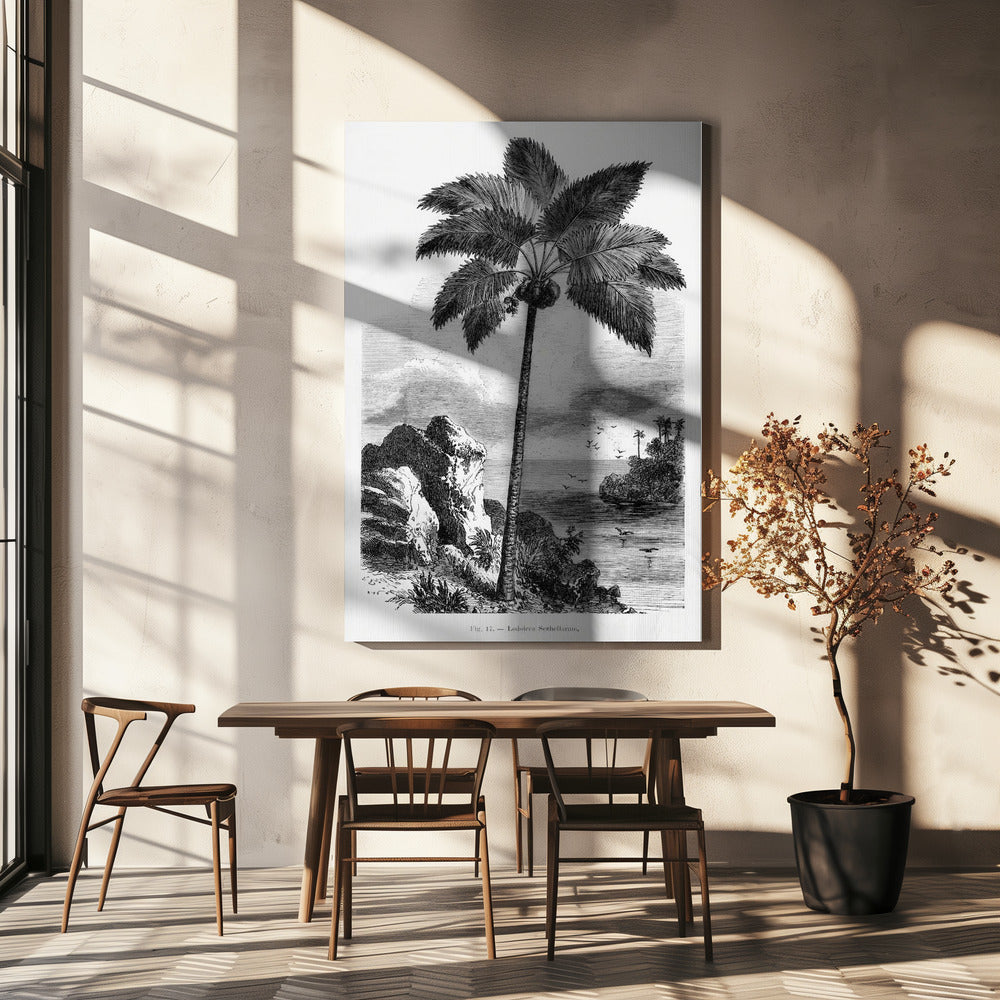 Vintage palmboom tekening I | Canvas