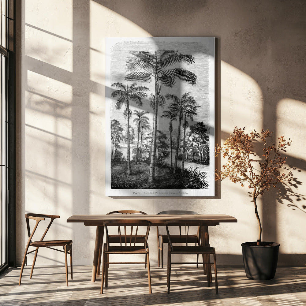 Vintage palmboom tekening II | Canvas