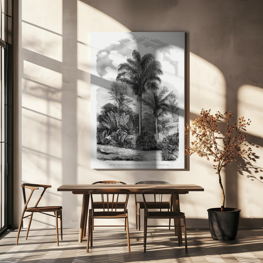 Vintage palmboom tekening VI | Canvas