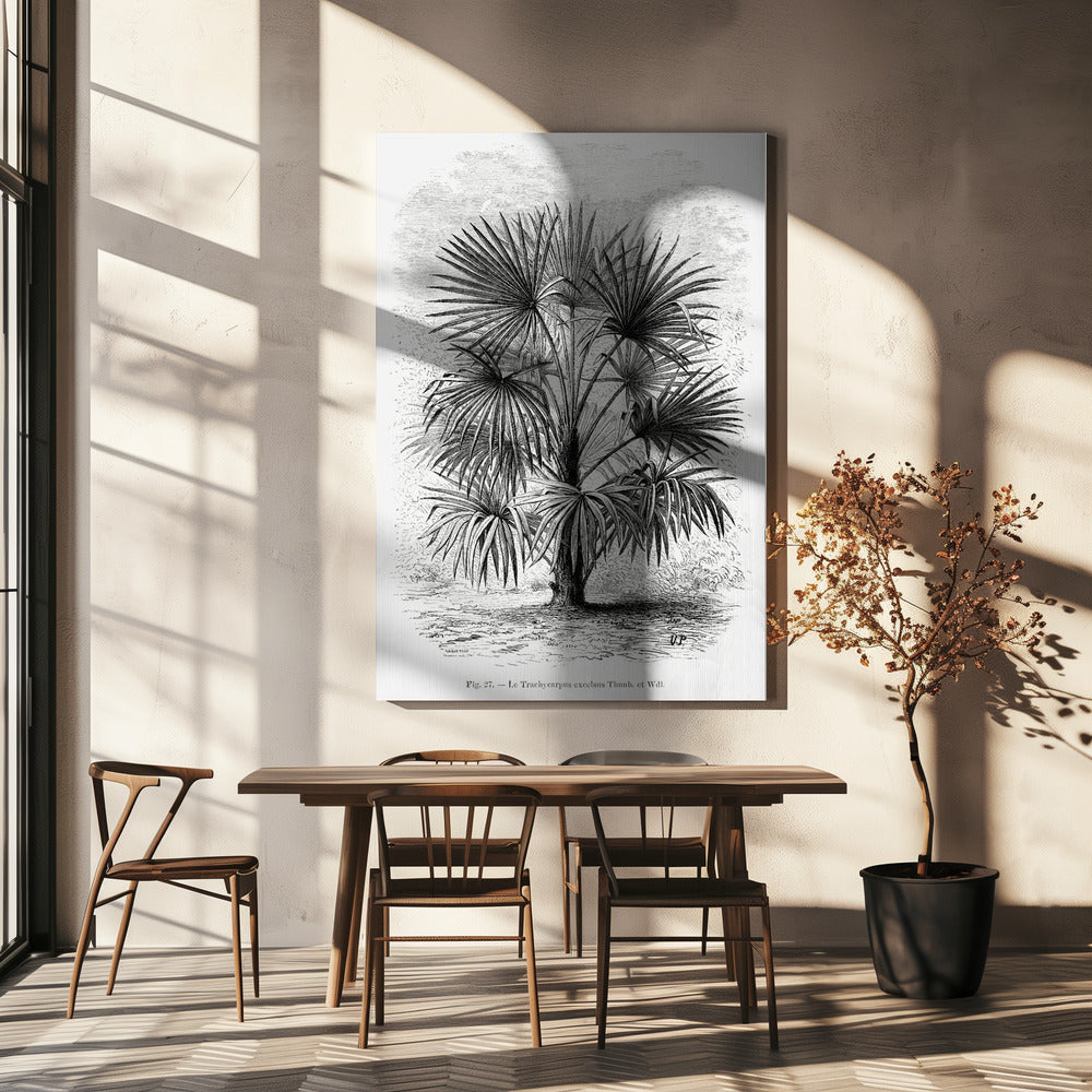 Vintage palmboom tekening Xi | Canvas