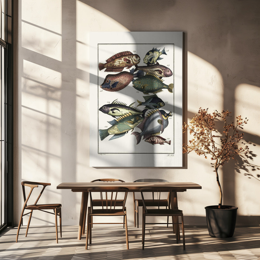 Exotische vissen (1767) door JV Schley | Canvas