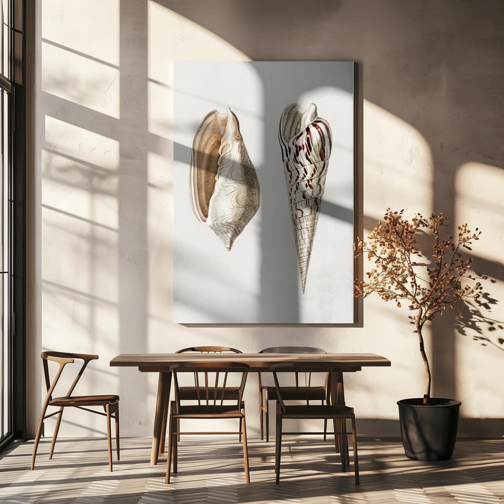 Twee weekdieren gewas II | Canvas