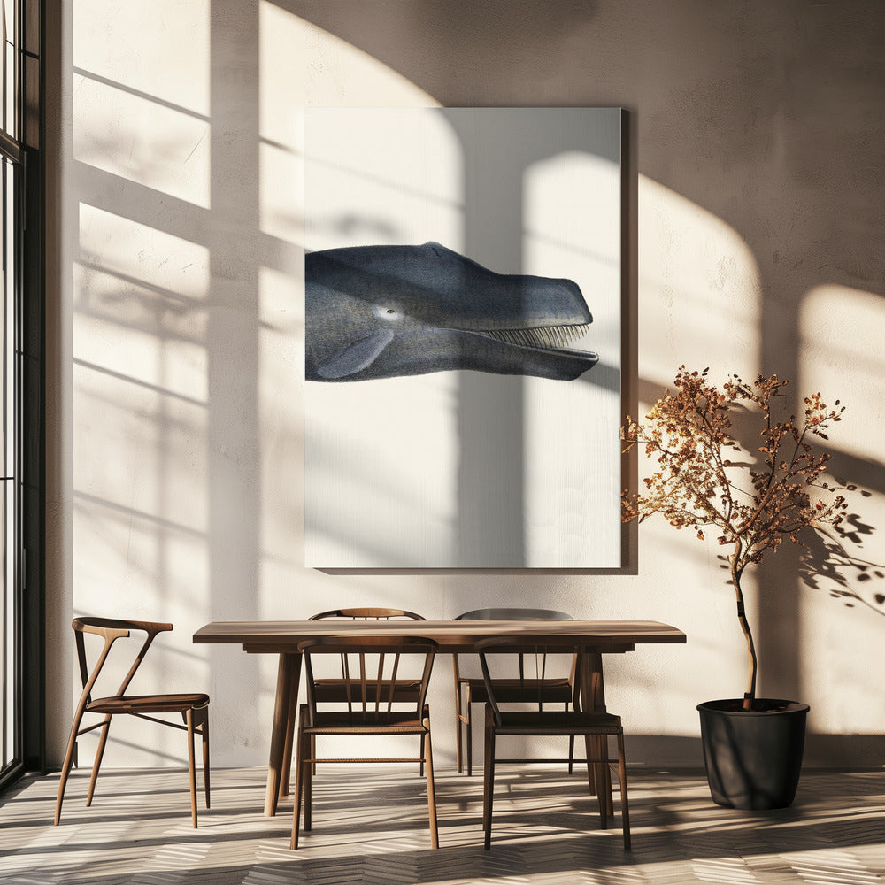 Walvis I Strakke uitsnede Handgekleurde zeelevenlithografie 1824 | Canvas