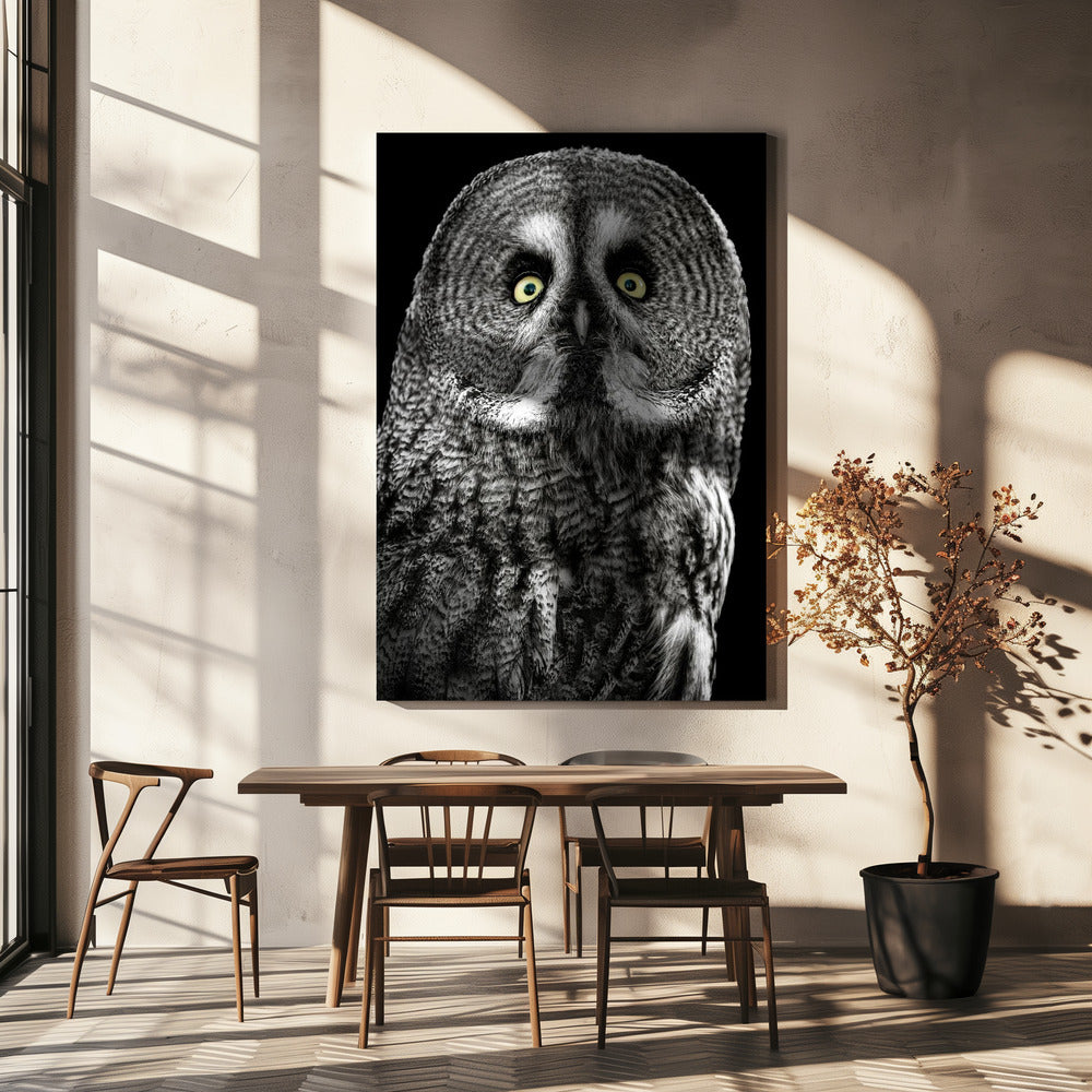 Uil | Canvas