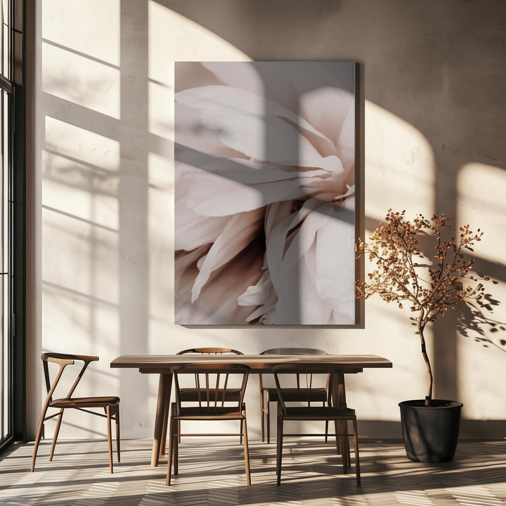 Pioenroos | Canvas