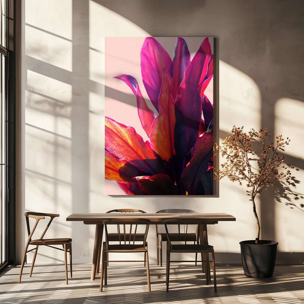 Fuchsia Bladeren II | Canvas