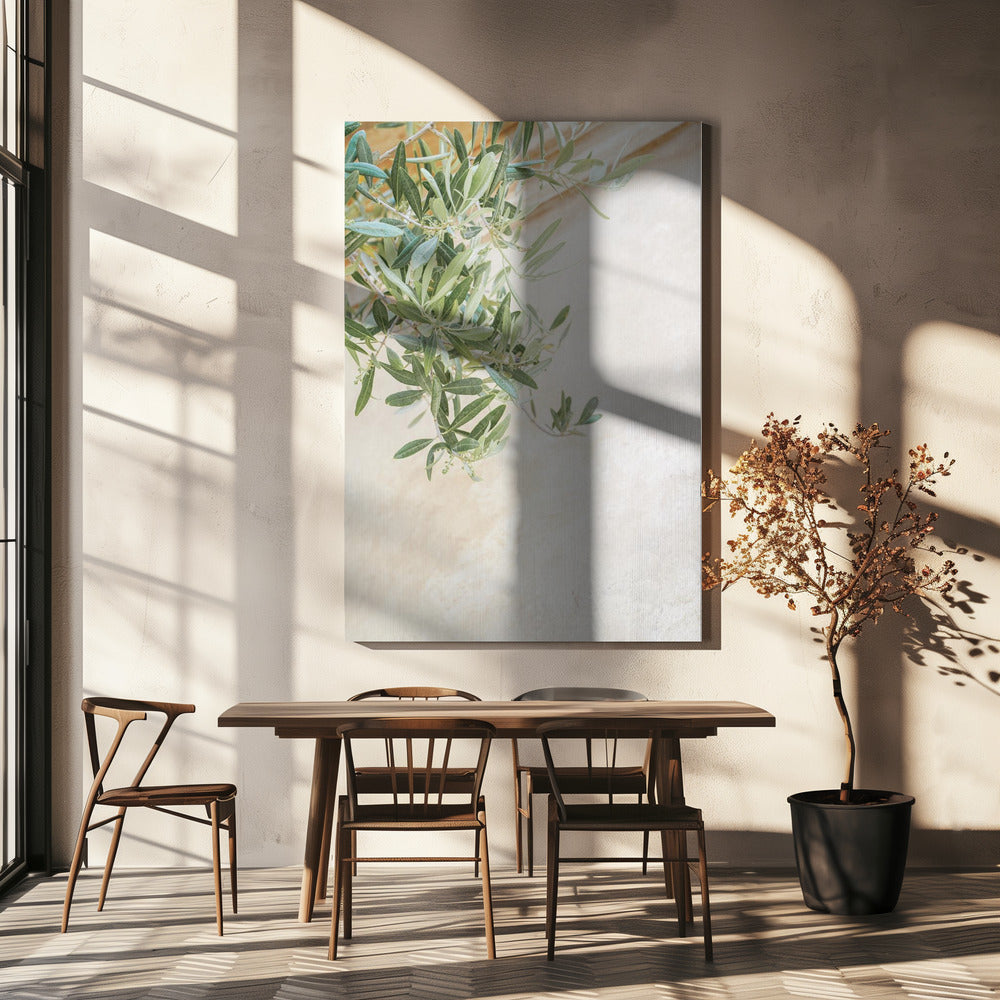 Olijfboombladeren | Canvas