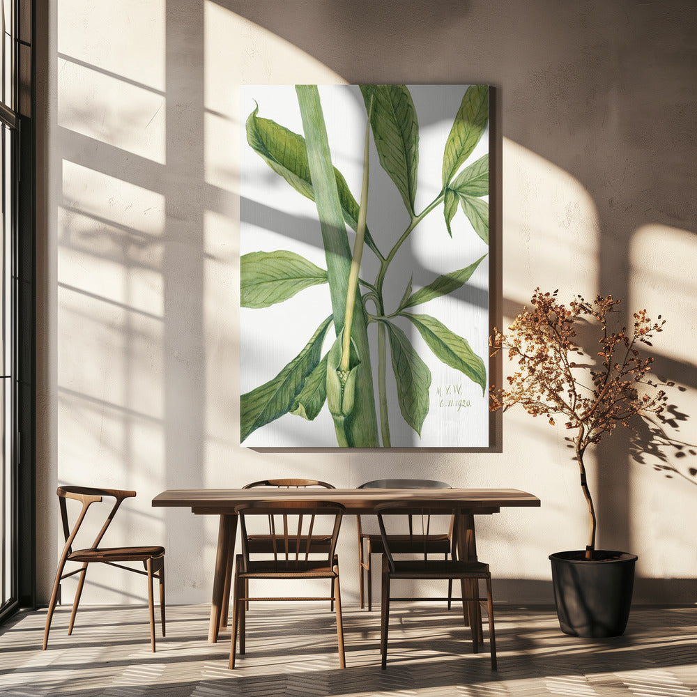 Groene Draak (1920) | Canvas
