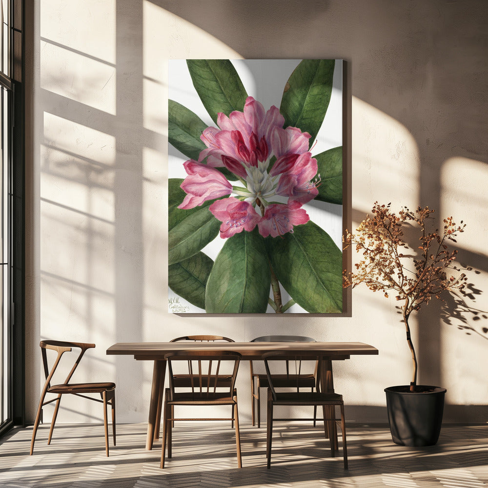 Berg Rose Baai (1932) | Canvas